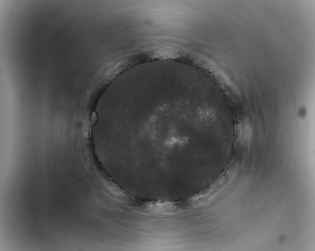 X0000102340517200808151731