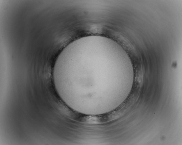 X0000102340518200808151731