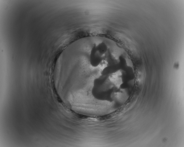 X0000102340519200808151731