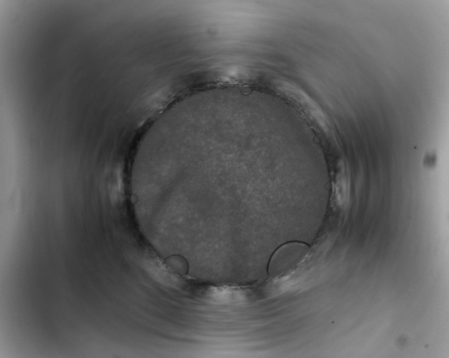 X0000102340520200808151731