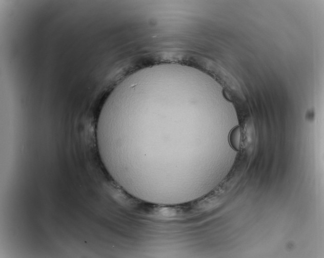 X0000102340522200808151730