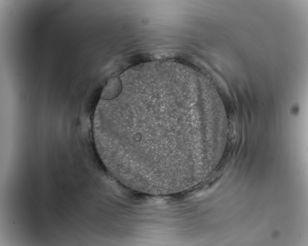 X0000102340523200808151730