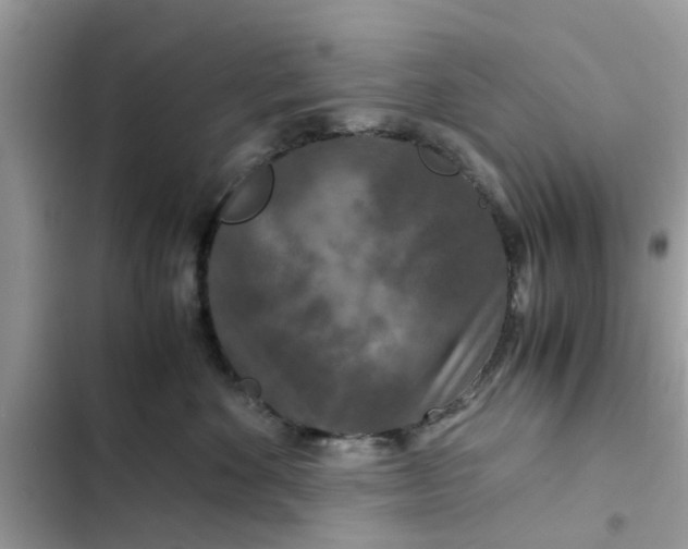 X0000102340524200808151730