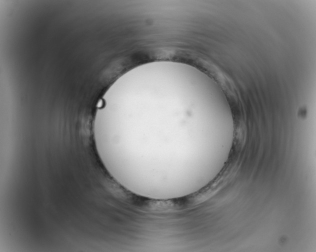 X0000102340525200808151730