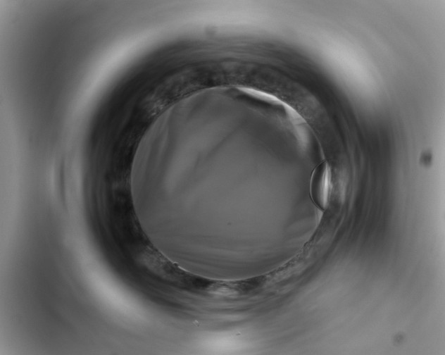 X0000102340526200808151730