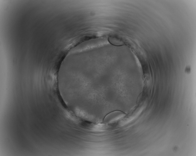 X0000102340527200808151730