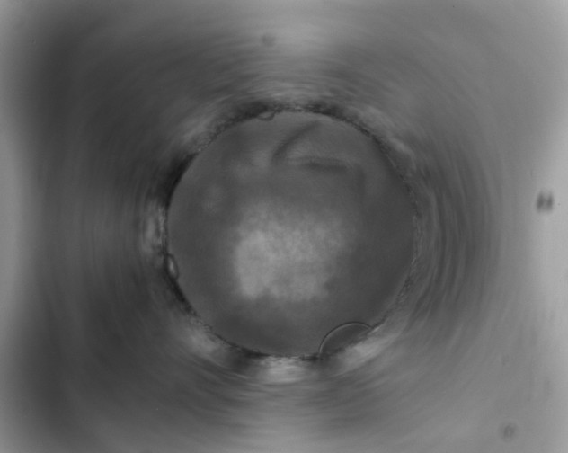 X0000102340528200808151730