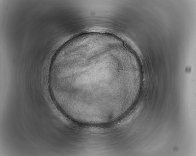 X0000102340529200808151730