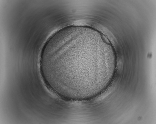 X0000102340530200808151730