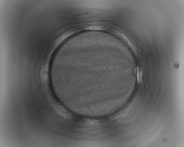 X0000102340531200808151730