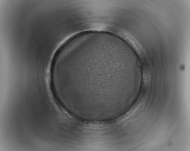 X0000102340532200808151730