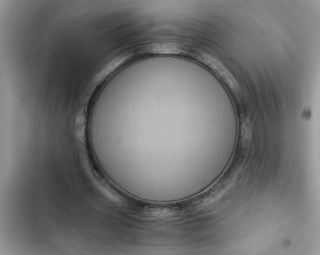 X0000102340533200808151730