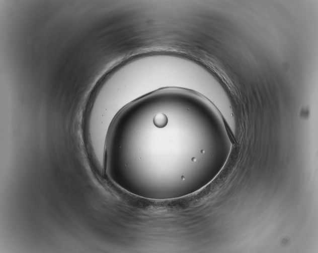 X0000102340534200808151730