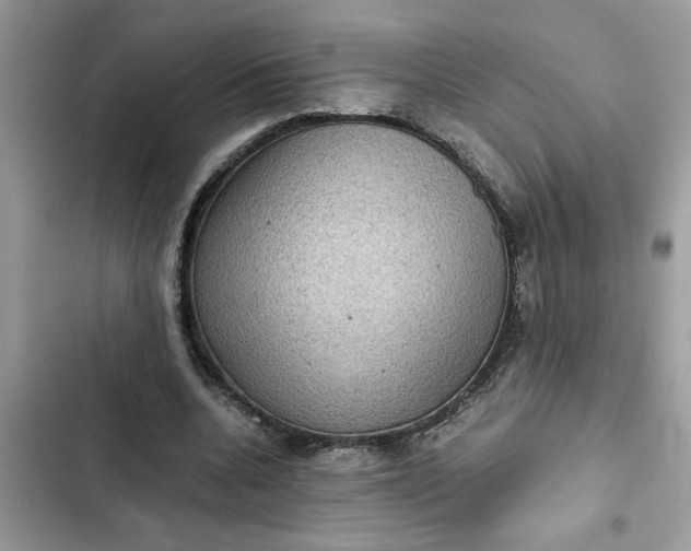 X0000102340536200808151730