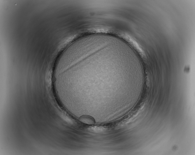 X0000102340537200808151730