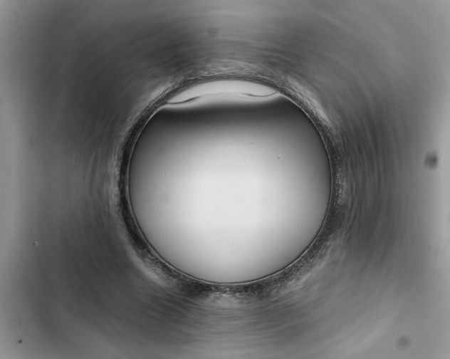 X0000102340538200808151730