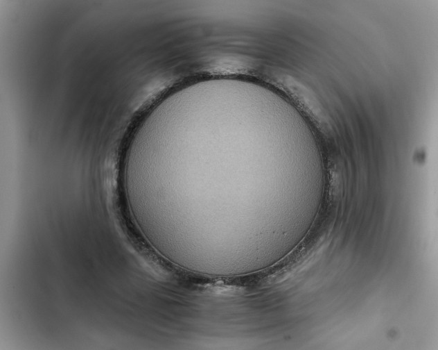 X0000102340539200808151730