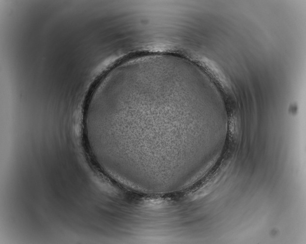 X0000102340540200808151730