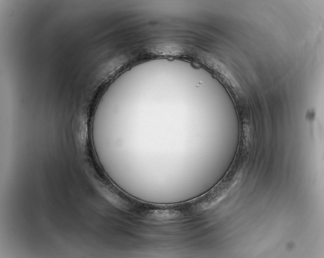 X0000102340541200808151730