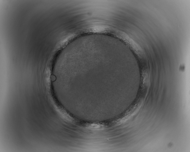 X0000102340542200808151730