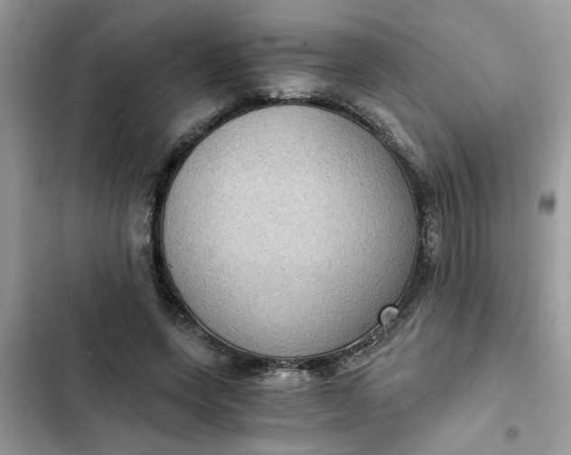 X0000102340543200808151730