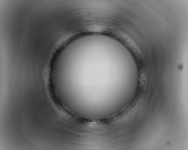 X0000102340544200808151730