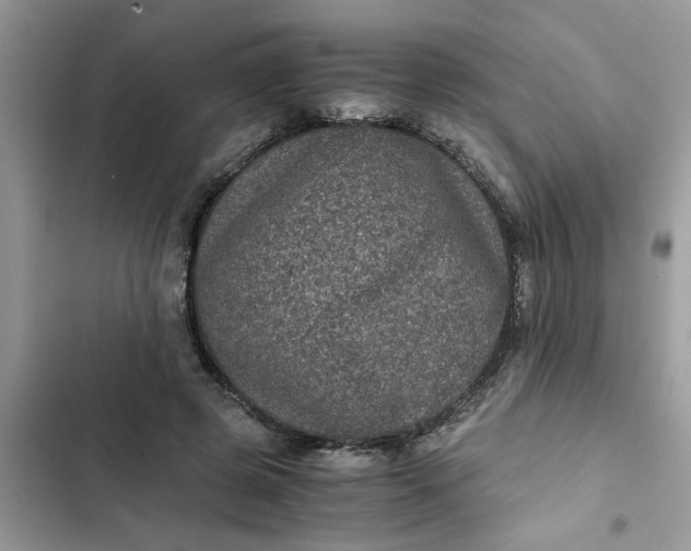 X0000102340545200808151730