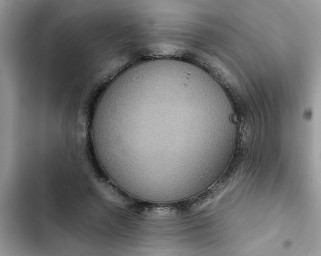 X0000102340546200808151730