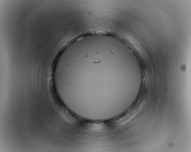 X0000102340548200808151730