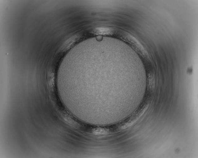 X0000102340549200808151730