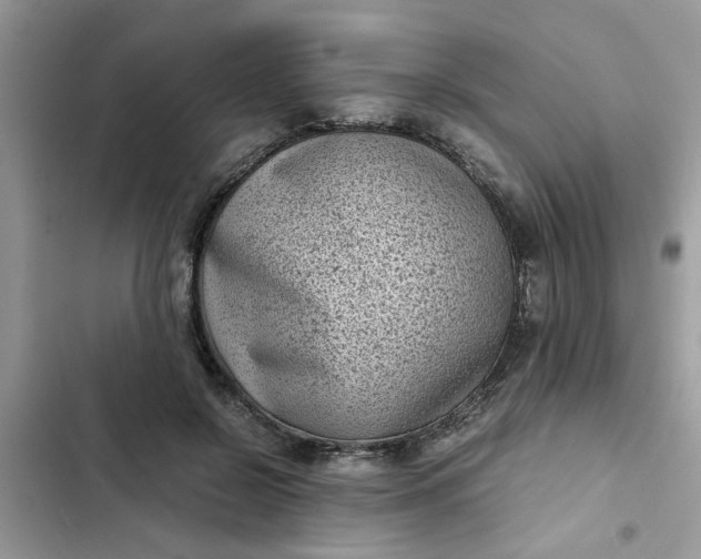 X0000102340550200808151730