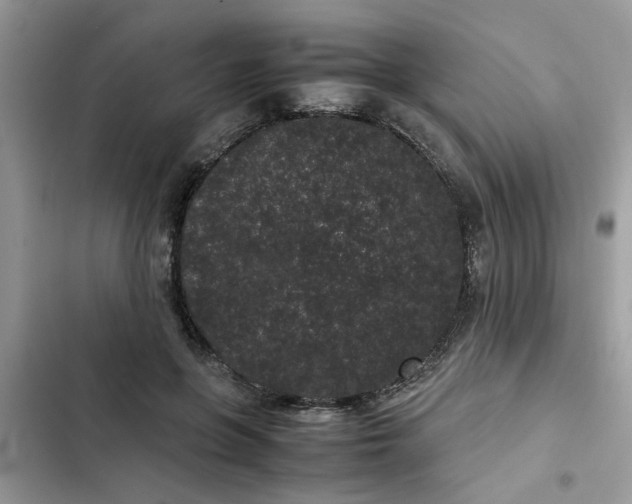 X0000102340551200808151730