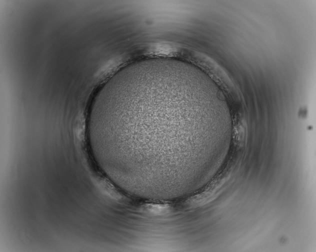 X0000102340552200808151730