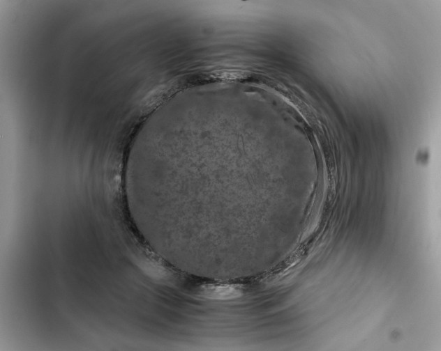 X0000102340553200808151730