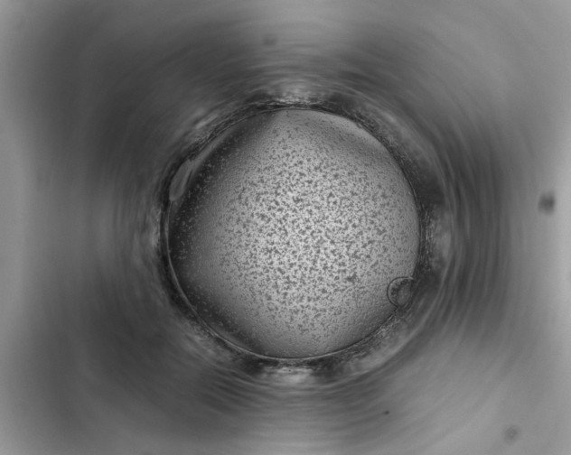 X0000102340554200808151730