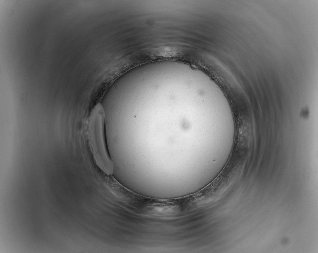 X0000102340555200808151730