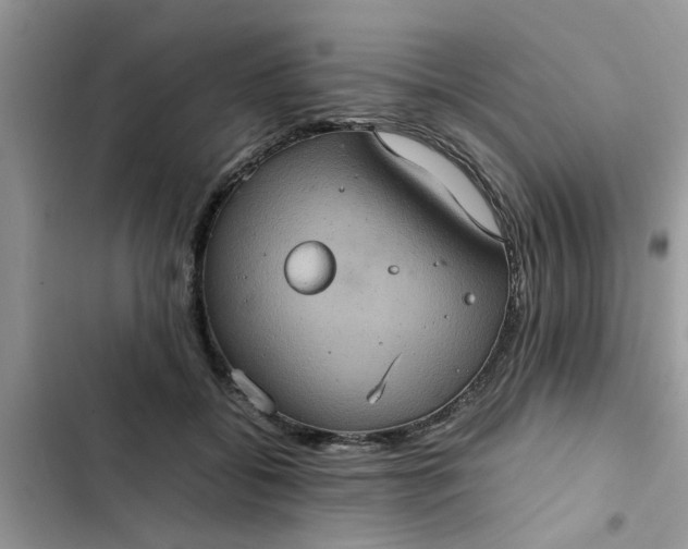 X0000102340556200808151730