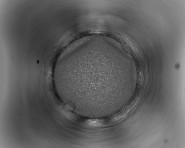 X0000102340557200808151730