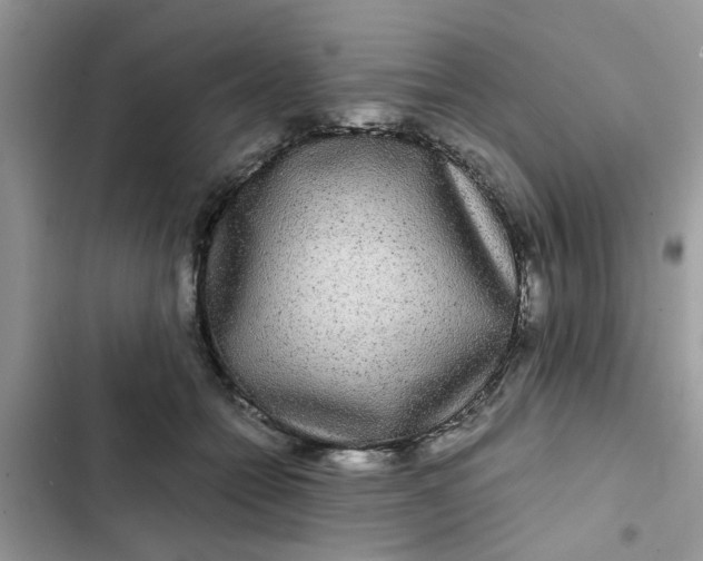 X0000102340558200808151730