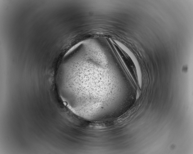 X0000102340559200808151730