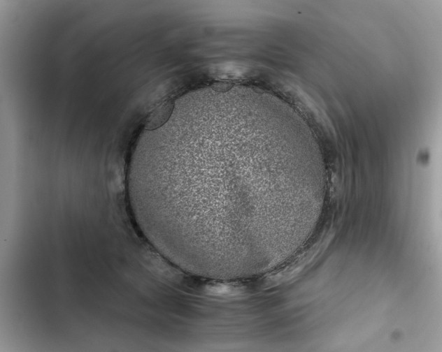 X0000102340561200808151730