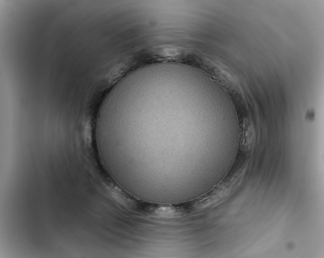 X0000102340562200808151730