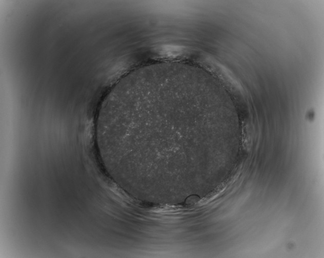 X0000102340563200808151730