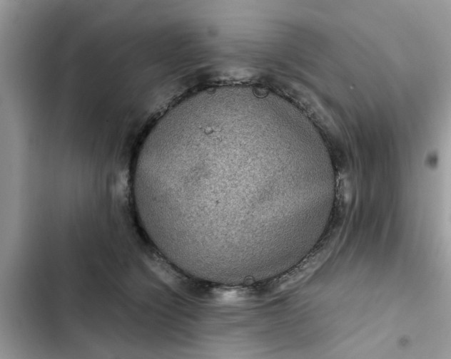 X0000102340564200808151730