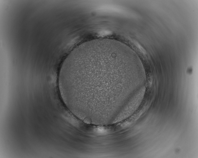 X0000102340565200808151730