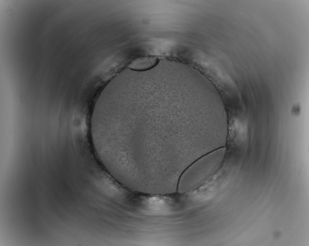 X0000102340566200808151730