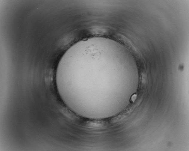 X0000102340567200808151730