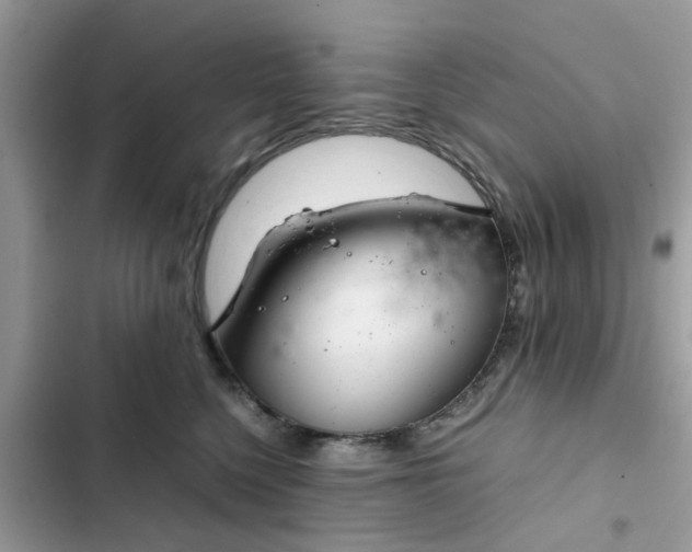 X0000102340568200808151730