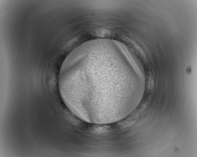 X0000102340569200808151730