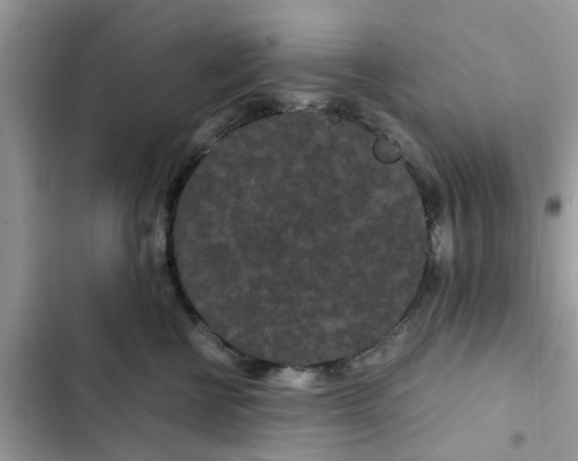 X0000102340570200808151730